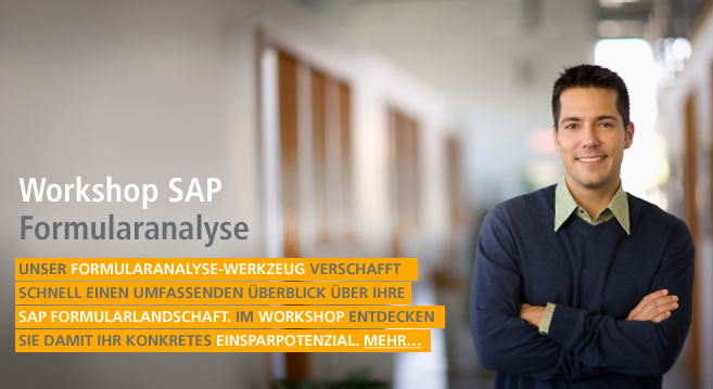 Workshop SAP Formularanalyses